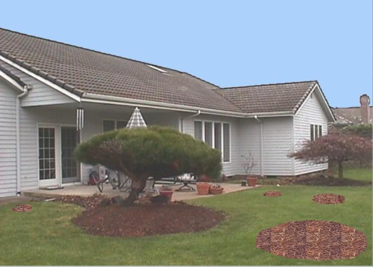 Landscape Vision mulch bed creation